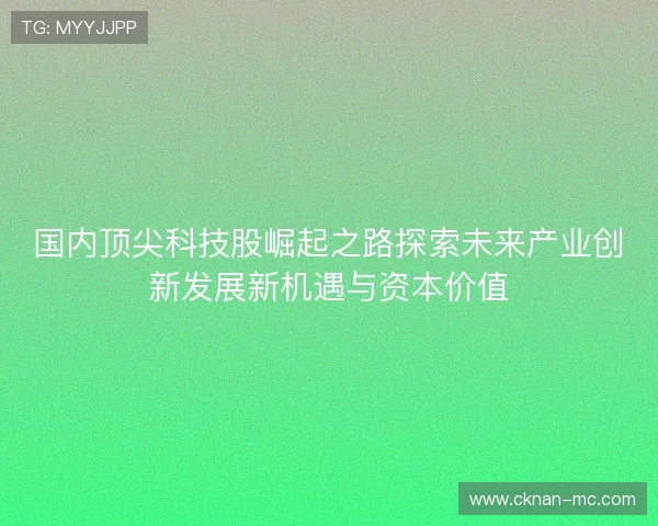 国内顶尖科技股崛起之路探索未来产业创新发展新机遇与资本价值